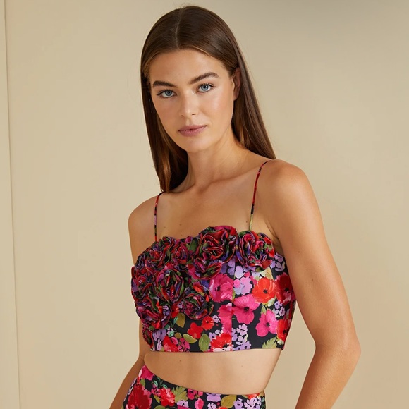 AMUR Tops - AMUR Floral Sylvie Crop Top NWT Size 4 – Bold 3D Vintage Flower Detail

M5